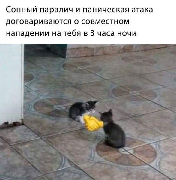    - 7  2023  13:25