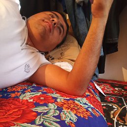 ������, ������, 33 ����