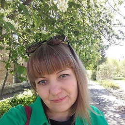 ���������, ������, 41 ���