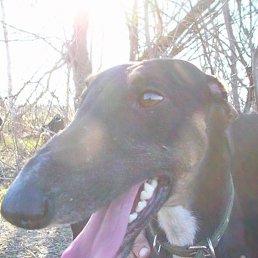 �����, ������, 48 ���