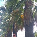 ���� ������, �����-���������, 43 ���� - ��������� 22 ���� 2023