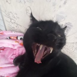 ���� ������, ����������, 38 ��� - ��������� 21 ������� 2023