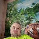 ���� �����, �����, 46 ��� - ��������� 29 ���� 2023 � ������ ���� ����������