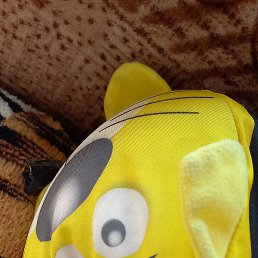 �����, ������-��-����, 38 ���