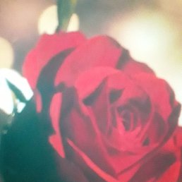 Mubiw, �����, 23 ����