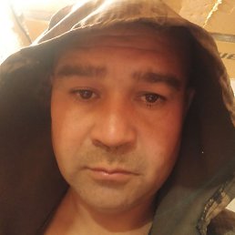 Baxa, �������, 40 ���