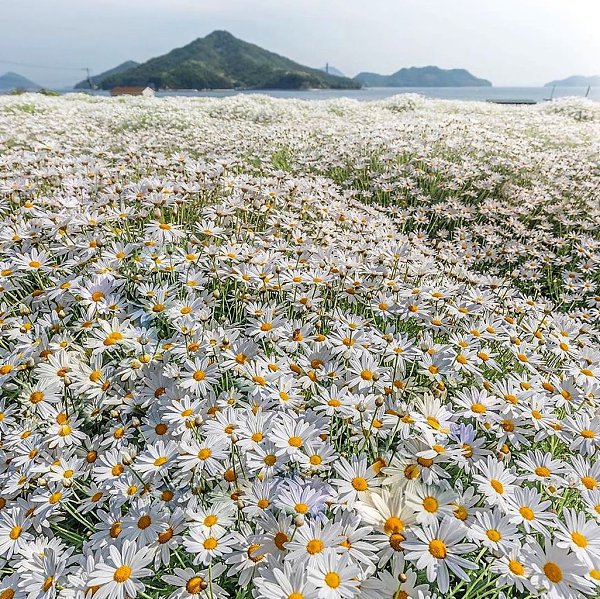 Kagawa Prefecture, Japan.