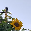  , , 64  -  26  2023