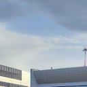 ���� �������, ������, 38 ��� - ��������� 11 ���� 2023 � ������ ���� ����������