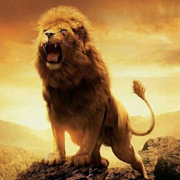 ���� Princ, �����������, 29 ��� - ��������� 21 ������� 2023