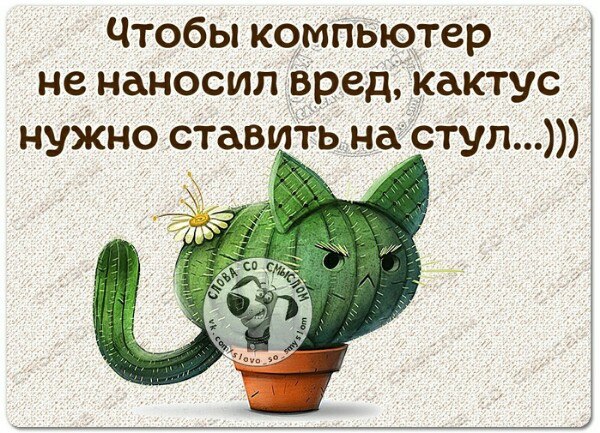  - 13  2023  13:52