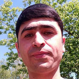 ����, ����������, 33 ����