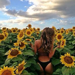 ���������, ������, 44 ����