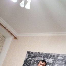 ������, ������, 41 ���