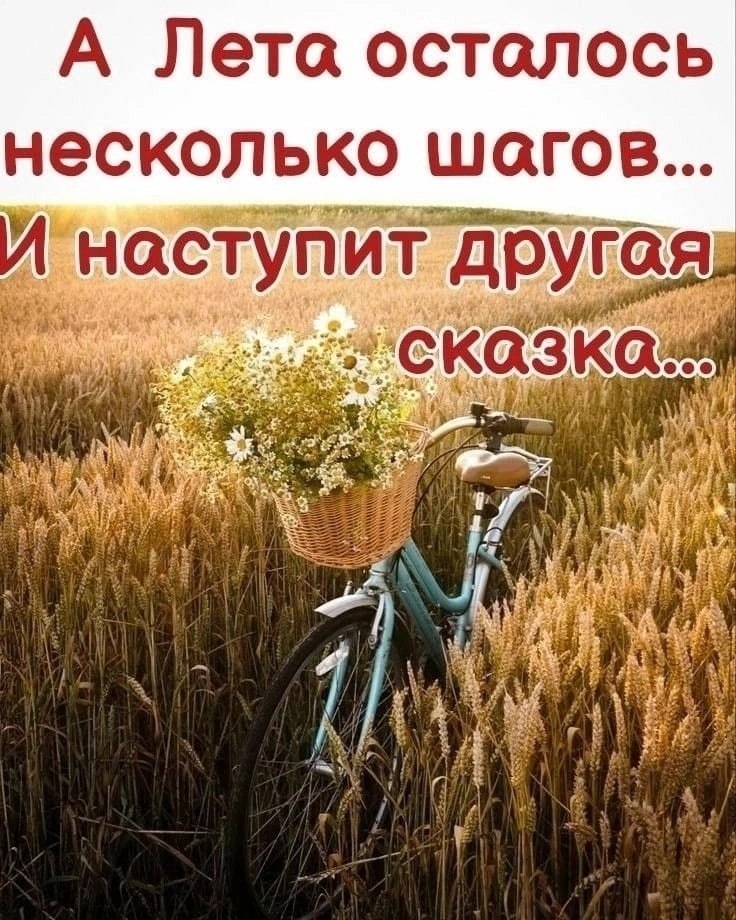   ,    . - 31  2023  13:06