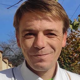 ������, �������, 37 ���