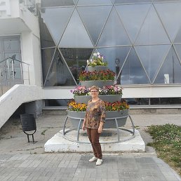 �������, ����������, 56 ���