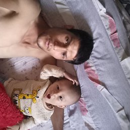 �����, �������, 41 ���