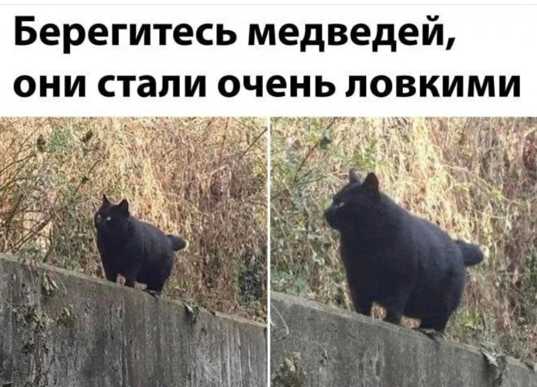  - 16  2023  14:19