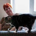 ���� �������, �����-��������� - ��������� 7 ������ 2023 � ������ ������ ��������