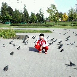 ������, �����, 37 ���