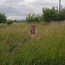 ���� Nazik, ������ - ��������� 15 ���� 2023 � ������ ������ ��������