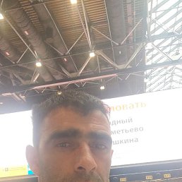 ����, ������, 37 ���