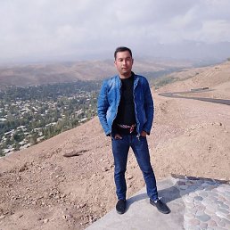 �����, ������, 37 ���