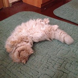 ���� N, ������, 54 ���� - ��������� 18 ��� 2023