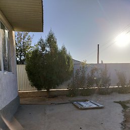 �����, ���������, 37 ���