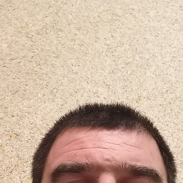 ���� ����������, ���������, 38 ��� - ��������� 20 �������� 2023