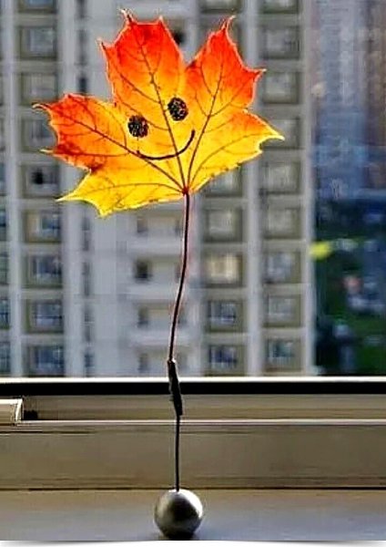 В мире, где ты можешь быть кем угодно, будь добрым... :).•¤•¤•¤•¤•¤•¤•¤•¤•¤•¤•¤•¤•¤•¤•¤•