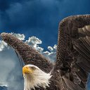 ���� �������, �����������, 29 ��� - ��������� 16 ��� 2023 � ������ ���� ����������