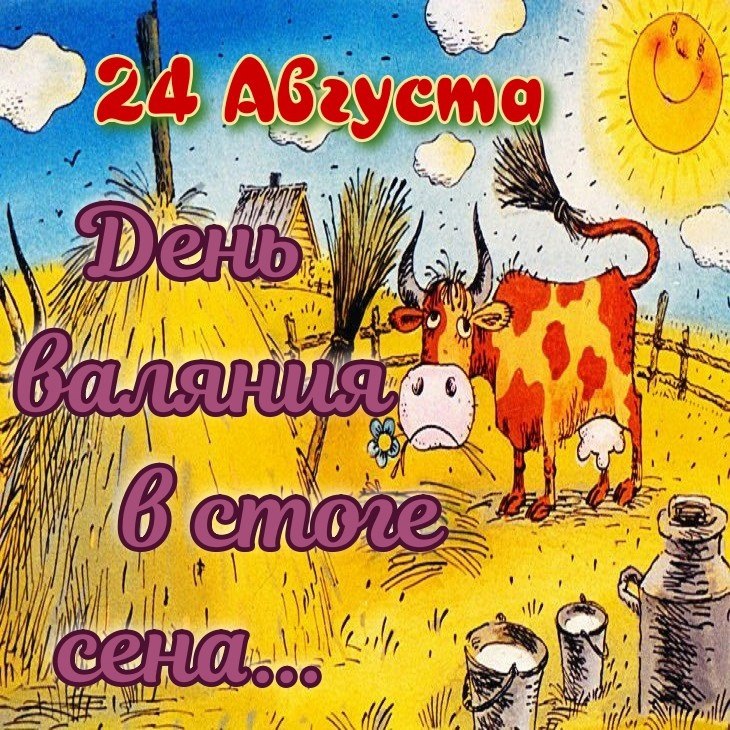  - 24  2023  16:57