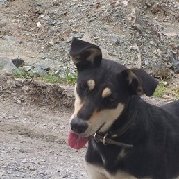 ����, �����, 37 ���