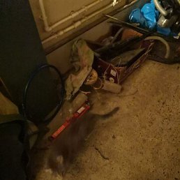 ���� �������, ������, 48 ��� - ��������� 20 ��� 2023