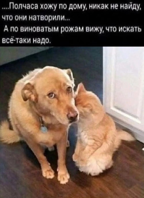   ! - 23  2023  18:05