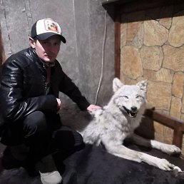 ���������, �������, 44 ����