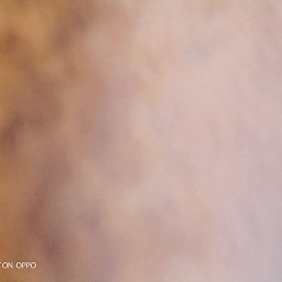 ����, ����, 28 ���