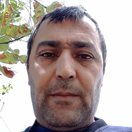 ����, ���������, 49 ���