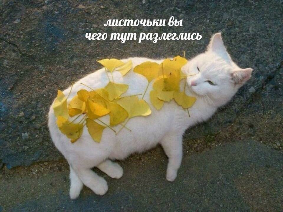    - 24  2023  07:11