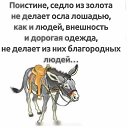 ���� �, �����, 29 ��� - ��������� 20 ������� 2023