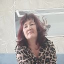 ���� �����, ���������, 51 ��� - ��������� 23 ��� 2023