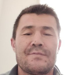 �����, �������, 49 ���