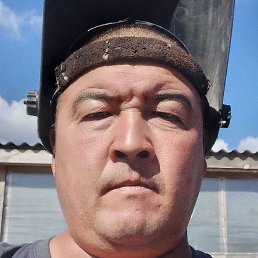 �����, ������, 42 ����