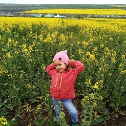 ���� �������, ����������, 52 ���� - ��������� 9 ���� 2023