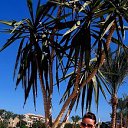 ���� ������, ������ ��������, 46 ��� - ��������� 27 ���� 2023