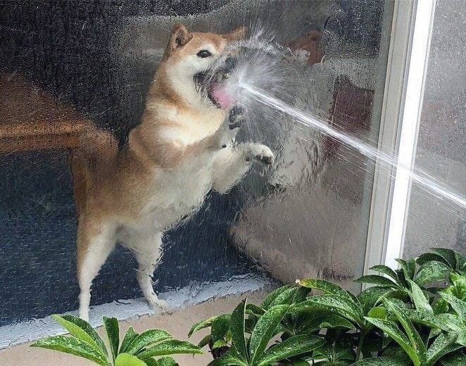  ,   