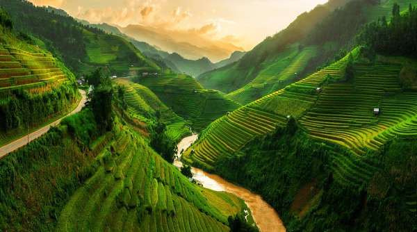      (Mu Cang Chai). ,       ... - 2