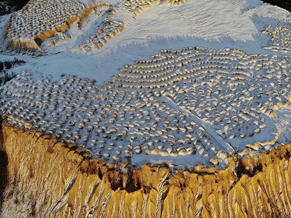 Борницкие карьеры гатчинский район фото Тайные места Ленобласти: настоящая пустыня с невероятными пейзажами
